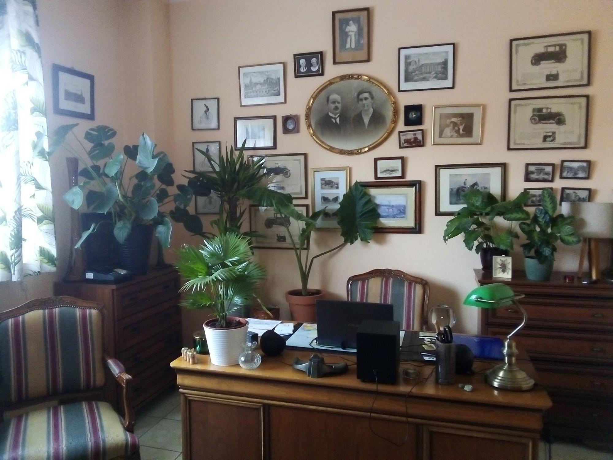 Villa Minerva Zielona Góra Esterno foto